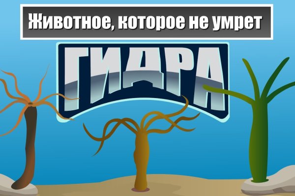 Мега кракен блэк спрут