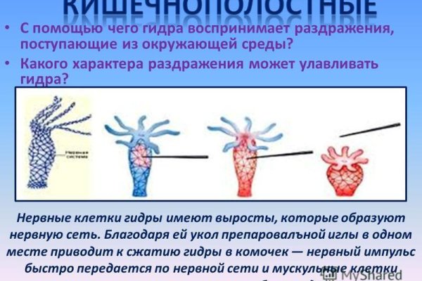 Кракен маркетплейс работает